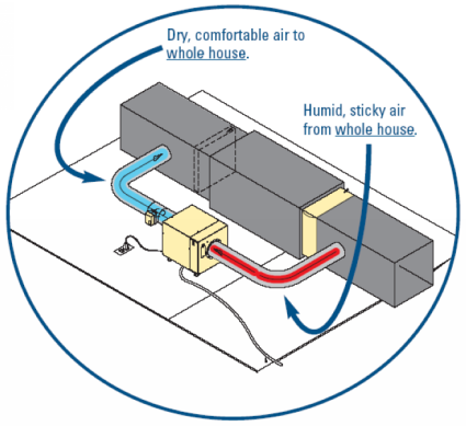WHOLE-HOME DEHUMIDIFIER SYSTEMS